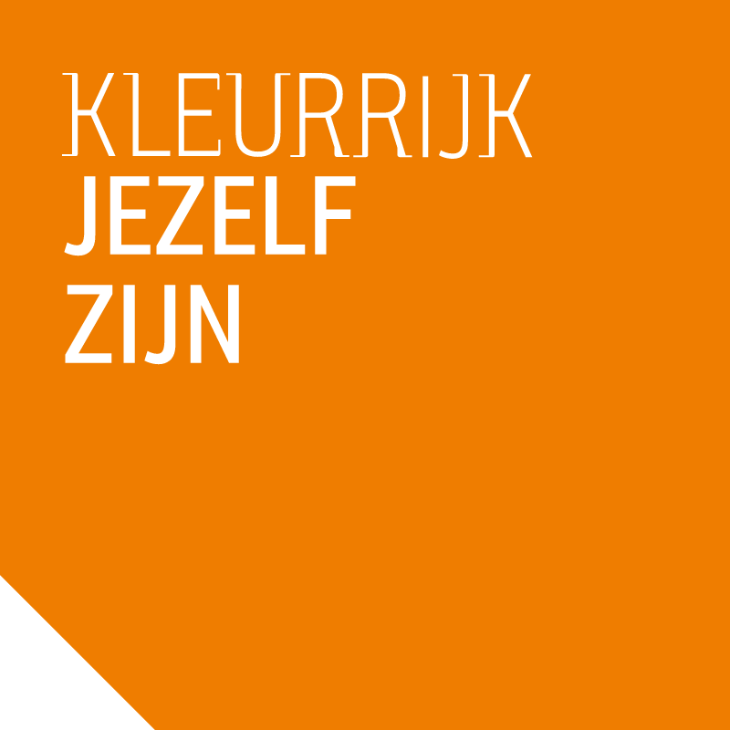 Hooghuis-blauw-vlak