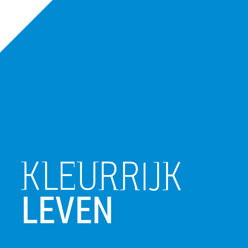 Hooghuis-blauw-vlak
